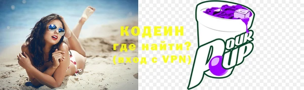mdpv Вяземский