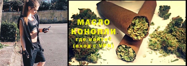 mdpv Вяземский