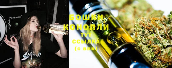 дурь Волоколамск