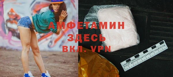 mdpv Вяземский