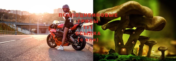 марихуана Вязники
